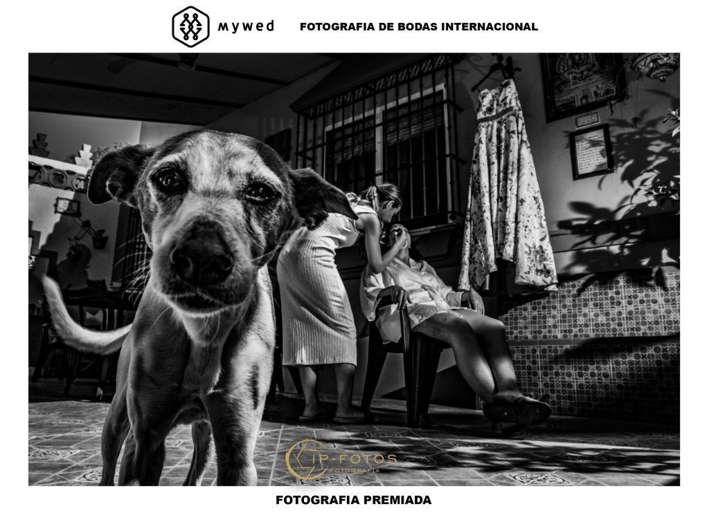 Boda en Aznalcazar: fotógrafo Sevilla