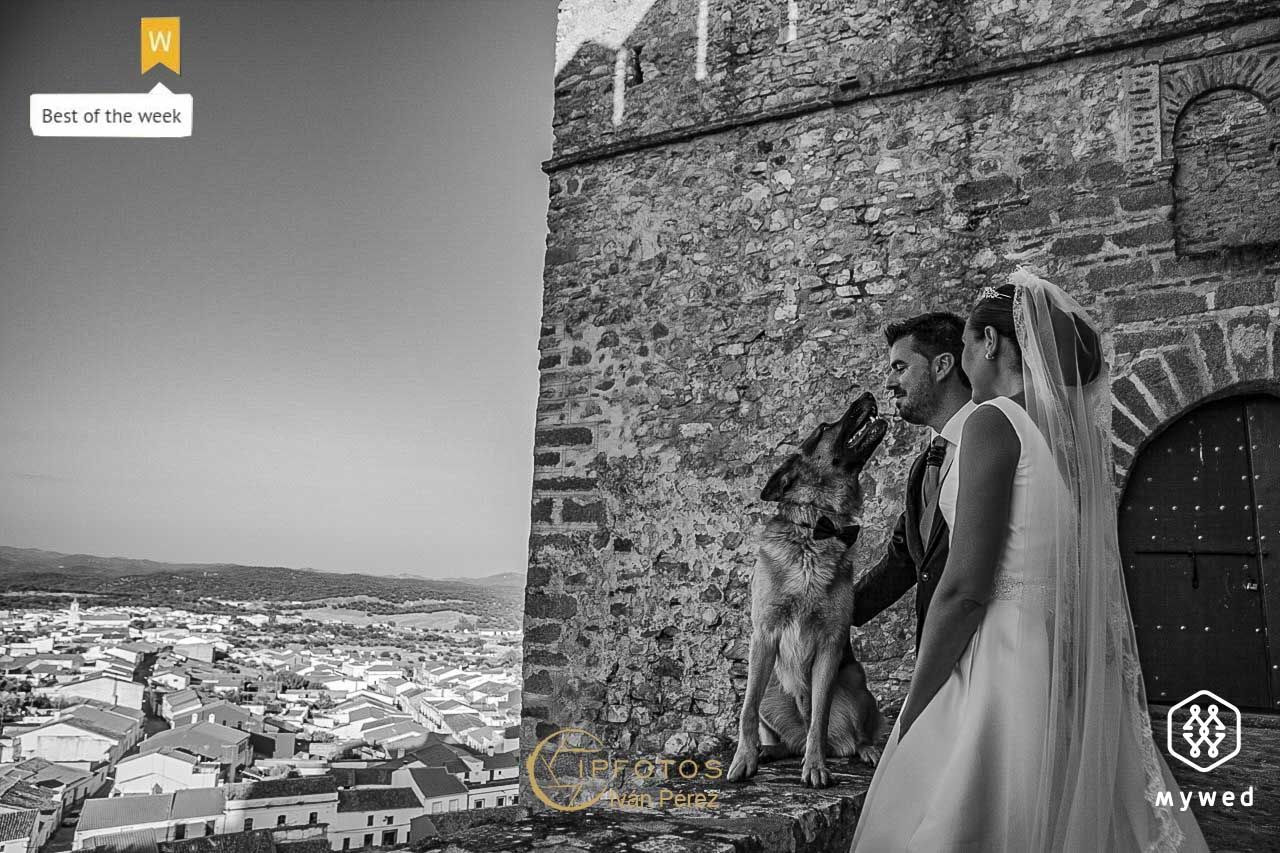 fotógrafo boda Zafra Sevilla Extremadura vídeo